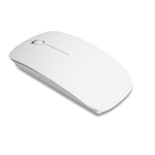 CURVY - Imagen Principal