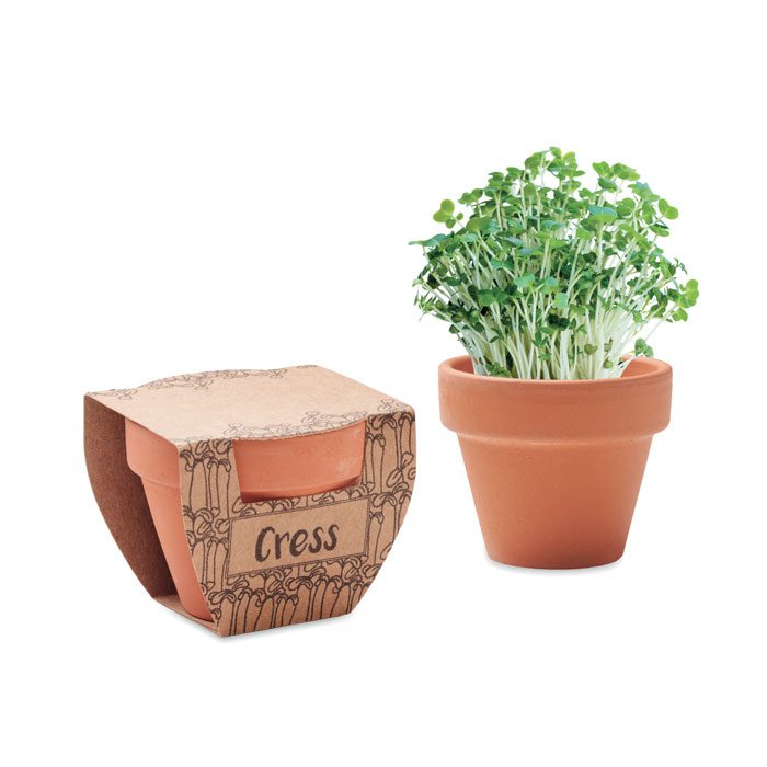 CRESS POT - Imagen Principal