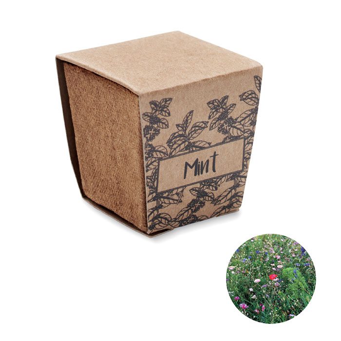 MINT KIT - Imagen Principal