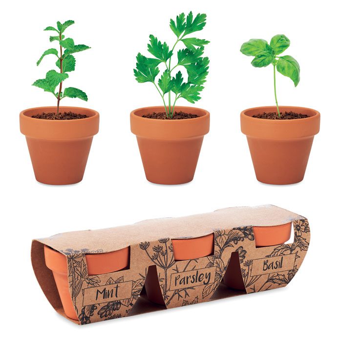 FLOWERPOT - Imagen Principal