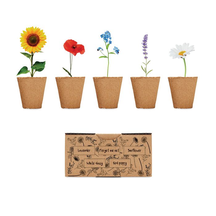 FLOWERS - Imagen Principal