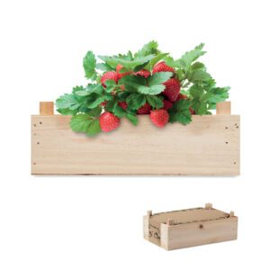 STRAWBERRY - Imagen Principal
