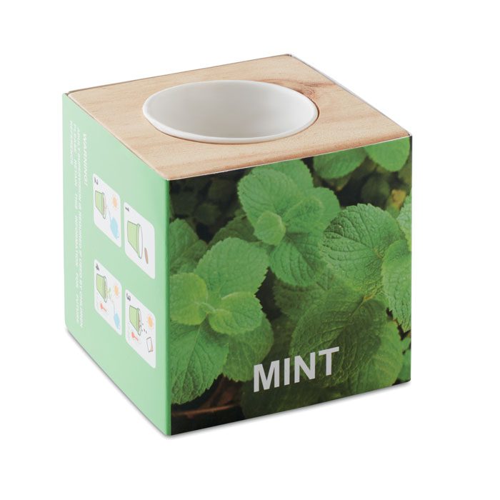 MENTA - Imagen Principal