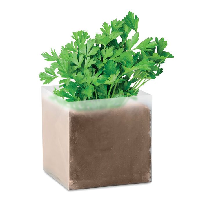 PARSELY - Imagen Principal